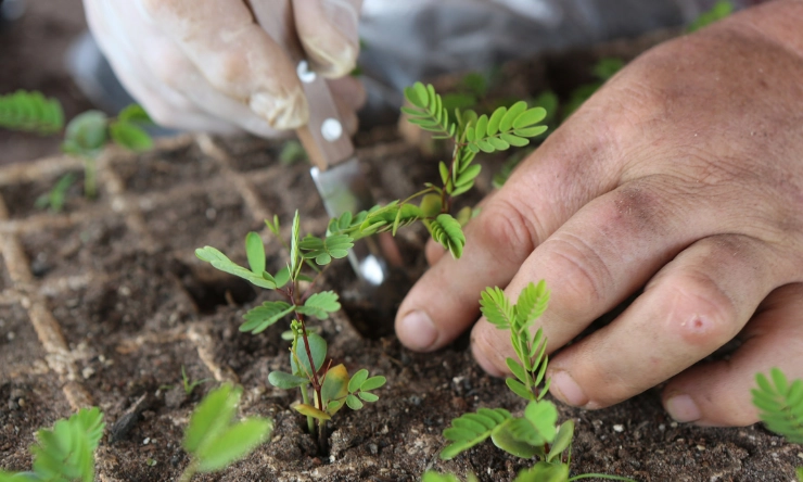 Avances técnico, normativos y estratégico en el sector agroecológico. Zamora.