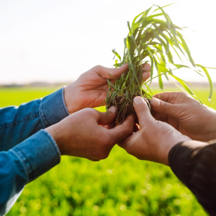 Sociedad Cooperativa Ecológica