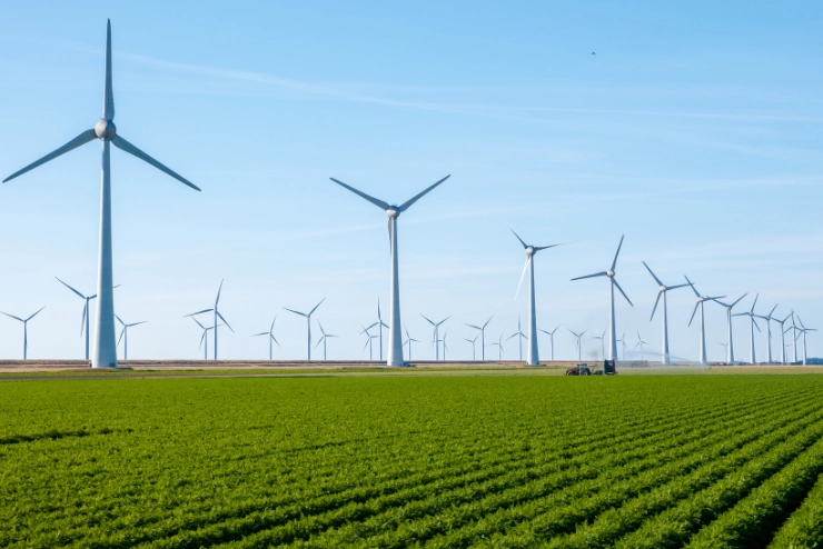 Beneficios de la agricultura ecológica